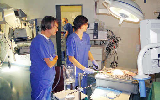[Translate to chinesisch:] Workshop in Operating Room